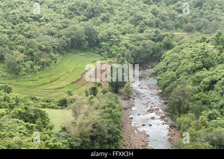 An aerial view of greenery field with dense trees Stock Photo - Alamy