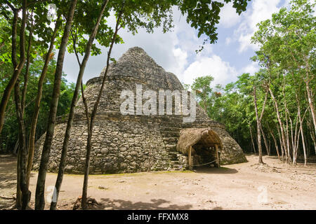 Xaibe or Crossroads or painting Temple (observatory) in mayan archaeological site of Coba  Quintana Roo Mexico. Surrounded by  t Stock Photo