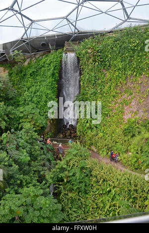 Inside the Eden Project Tropical Forest BioDome. Waterfall with people walking by Stock Photo