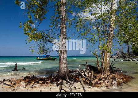 Seascape Elephant Beach Havelock island Andaman India Asia Stock Photo