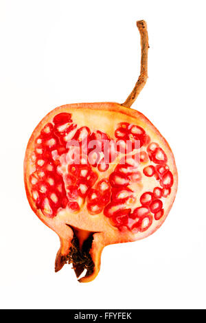 pomegranate slice red seeds punica granatum on white background Stock Photo