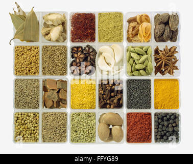 Variety of spices Stock Photo