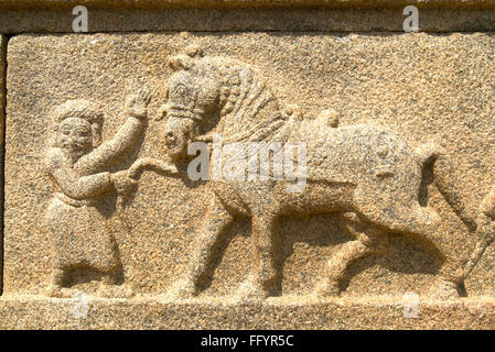 Horse man on outer wall of Ramachandra temple in Hampi Karnataka India - maa 220344 Stock Photo