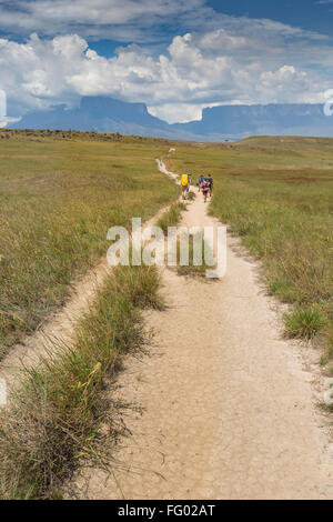 Track to Mount Roraima - Venezuela, South America Stock Photo