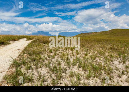 Track to Mount Roraima - Venezuela, South America Stock Photo