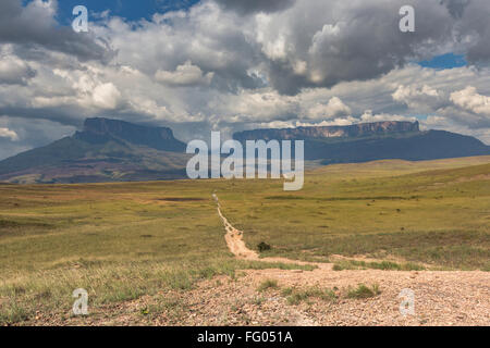 Track to Mount Roraima - Venezuela, South America Stock Photo