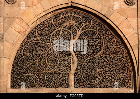 Jali work depicting palm trees with carved tendrils on windows of Sidi Sayed mosque in Ahmedabad ; Gujarat ; India Stock Photo