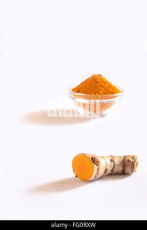 Indian spice , fresh Turmeric and  powder Haldi Curcuma Longa on white background Stock Photo