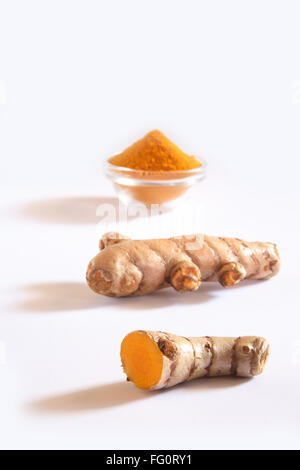 Indian spice fresh Turmeric and  powder Haldi Curcuma Longa on white background Stock Photo