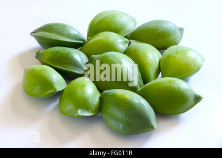 Fruit , one dozen green eye shaped almond badam Prunus dulcis on white background Stock Photo