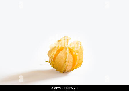Fruits , Rasbhari Raspberry with leaves on white background Stock Photo ...