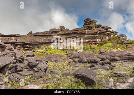 Bizarre ancient rocks of the plateau Roraima tepui - Venezuela, Latin America Stock Photo