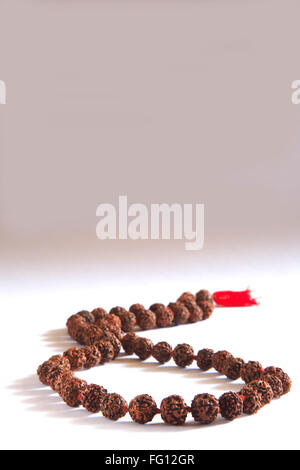 Rudraksh chanting mala seed of eleocarpus ganitrus used in rosary on white background Stock Photo