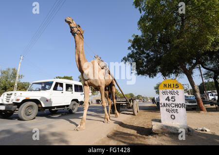 Camel cart on village road at Gujarat India Stock Photo