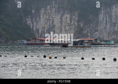 Floating buildings of a pearl farm rearing cultured pearls in oysters in Halong Bay, Northern Vietnam Stock Photo