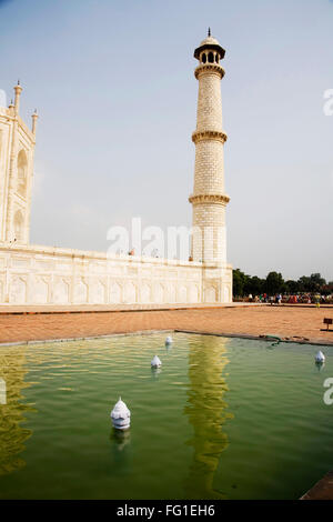 Single pillar of white marble Taj Mahal seven wonder of world , Agra , Uttar Pradesh , India Stock Photo