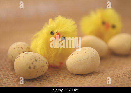 Chick decorations with chocolate eggs Stock Photo