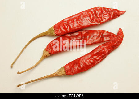 Indian condiments and spices, Red chillies on white background Stock ...