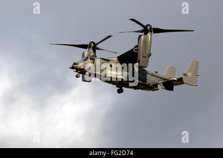 The Bell Boeing V-22 Osprey coming into land at Woodbridge Airfield base, Rendlesham, Suffolk, UK. Stock Photo