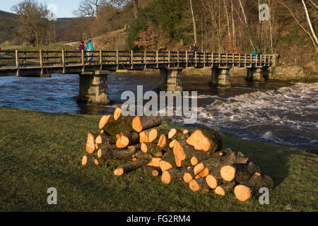 On a sunny day, people are crossing the footbridge over the River Wharfe, Bolton Abbey, North Yorkshire, England, UK - pile of logs in the foreground. Stock Photo