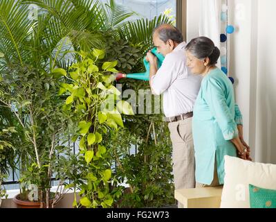 Old couple watering plants, senior man woman, senior husband wife, MR#702T,702S Stock Photo