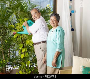 Old senior man woman gardening, senior husband wife watering plants, MR#702T,702S Stock Photo