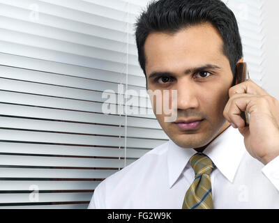 Executive talking on cell phone at venetian blind MR#779K Stock Photo