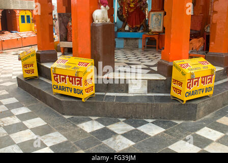 Three yellow charity box of ancient Ganga temple on Bank of river Ganga ; Haridwar ; Uttaranchal Uttarakhand ; India Stock Photo