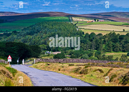 Cattle grid and dry stone wall at the exit from Kildale Moor, North York Moors, Guisborough Moor rising behind, Yorkshire UK Stock Photo