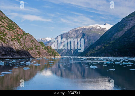 Icebergs in Tracy Arm Fjord near the Sawyer Glaciers in Southeast Alaska Stock Photo