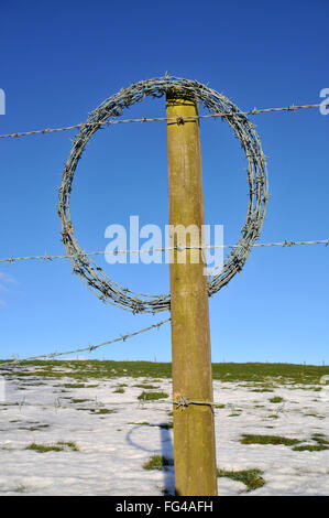 A roll of new barbed fencing wire resting on a wooden post with snow lying around,. Stock Photo