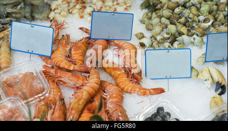 Large king prawns and other seafood popular food for easter and christmas for sale at fish markets Stock Photo