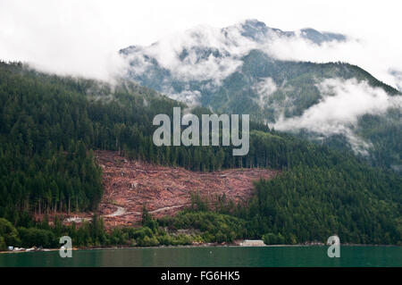 A clearcut block above a logging camp near Bella Coola, in the Great Bear Rainforest, British Columbia, Canada. Stock Photo