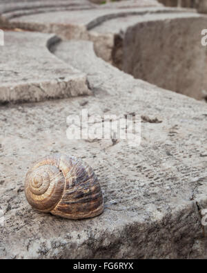 Snail shell on a wall at the stone ruins of a biblical site; Thyatira, Turkey Stock Photo