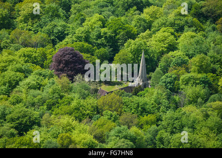 An aerial view of the spire of Loughton High Beach Church poking through the canopy in Epping Forest Stock Photo