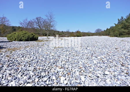 Flint fields Stock Photo