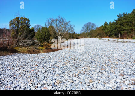 Flint fields Stock Photo