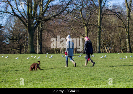 Dog walkers early morning on a sunny day in Abington Park, Northampton. Stock Photo