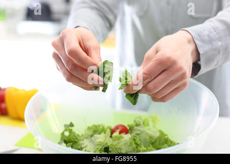 Colourful diet, healthy vegetable salad. Lettuce, healthy eating. Woman hands while preparing colorful salads Stock Photo