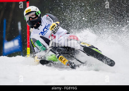 Claudia Hartl in action during the Super G at the Skibob World Cup in Destne v Orlickych horach, Czech Republic, February 18, 2016. Stock Photo