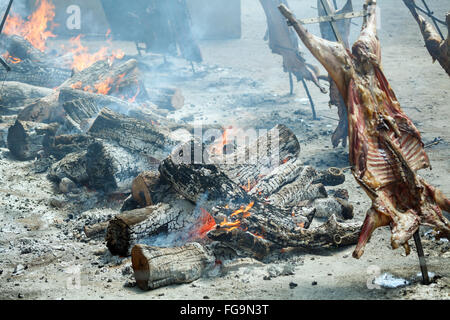 Asado Argentina patagonia lamb grilled carne Stock Photo