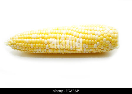 One Corn on the Cob Over White Stock Photo
