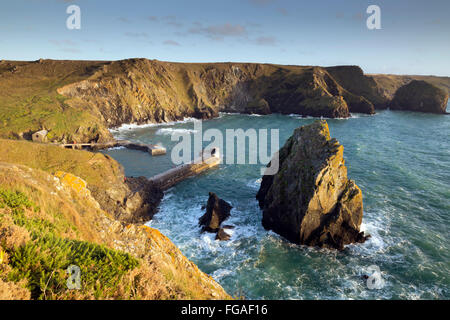 Mullion Cove; Harbour and Pier Cornwall; UK Stock Photo