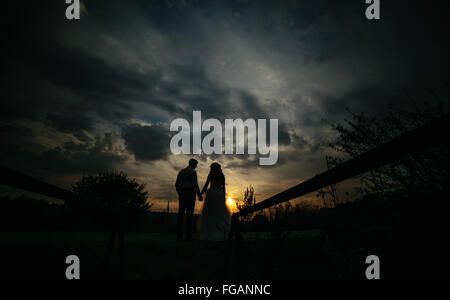 Silhouette of  wedding couple in field Stock Photo