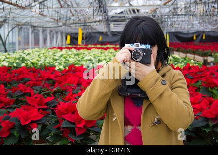 A woman takes a picture with a Diana lomography camera inside a greenhouse in Hellisheiðarvirkjun, Iceland, Stock Photo