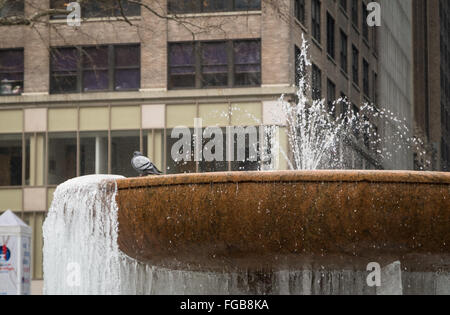 Pigeon perched on the Josephine Shaw Lowell memorial fountain in Bryant Park, frozen in extreme cold. Stock Photo