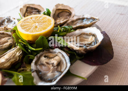 fresh French appetizer oysters on ice with lemon, for gourmets Stock Photo