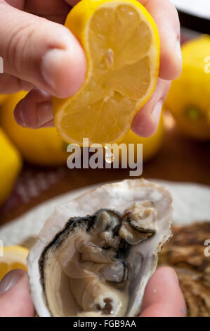 appetizing French oysters with lemon, delicious, really delicious, gourmet food Stock Photo