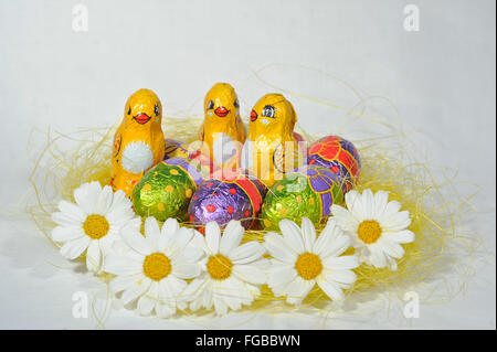 Easter egg with a chick in a nest of straw and daisy Stock Photo