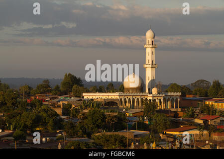 A mosque in the golden early morning sun, Hossana, Ethiopia Africa Stock Photo